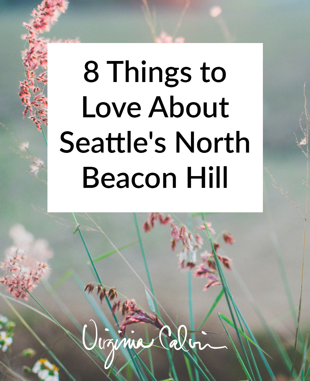 8 Things to Love About Seattle's North Beacon Hill | Virginia Calvin | Seattle Real Estate